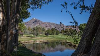 An image of "M" Mountain in the distance. Tree branches and a lake are in the foreground of the image.